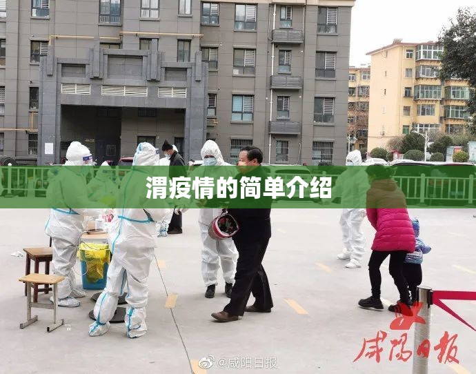 渭疫情的简单介绍 渭疫情的简单介绍