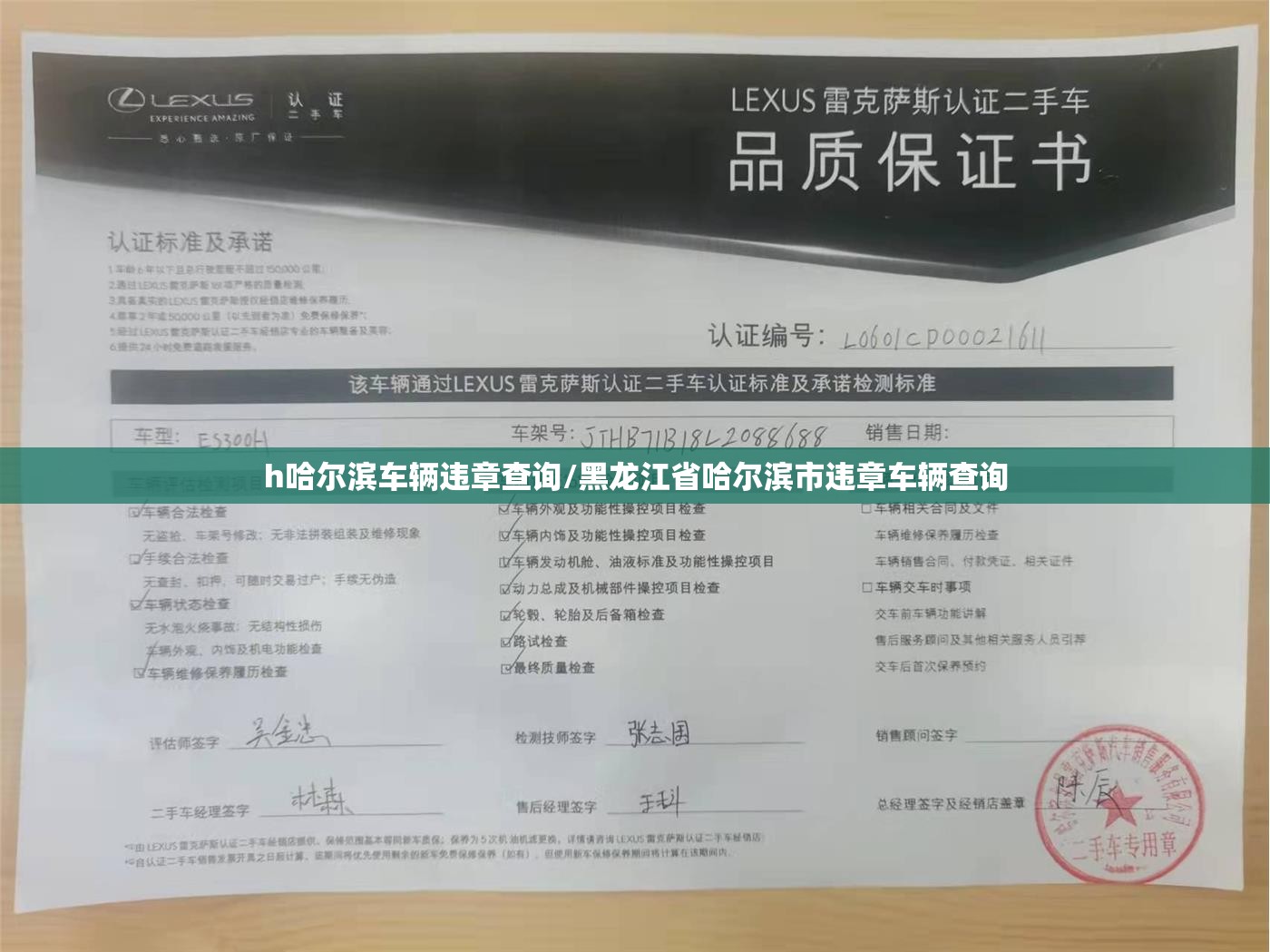 h哈尔滨车辆违章查询/黑龙江省哈尔滨市违章车辆查询 h哈尔滨车辆违章查询/黑龙江省哈尔滨市违章车辆查询