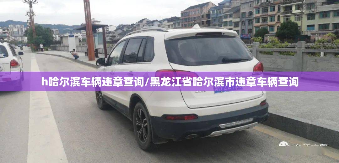 h哈尔滨车辆违章查询/黑龙江省哈尔滨市违章车辆查询 h哈尔滨车辆违章查询/黑龙江省哈尔滨市违章车辆查询