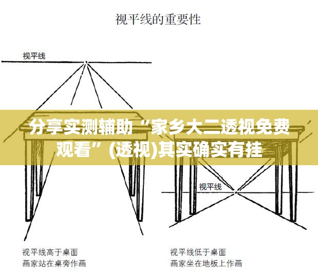 分享实测辅助“家乡大二透视免费观看”(透视)其实确实有挂