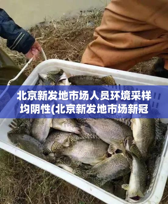 北京新发地市场人员环境采样均阴性(北京新发地市场新冠病毒)