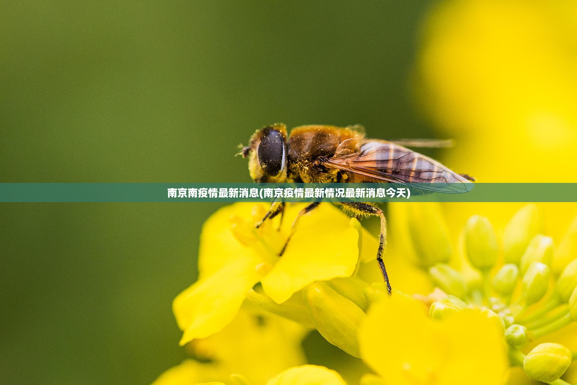 南京南疫情最新消息(南京疫情最新情况最新消息今天) 南京南疫情最新消息(南京疫情最新情况最新消息今天)