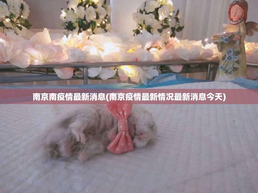 南京南疫情最新消息(南京疫情最新情况最新消息今天) 南京南疫情最新消息(南京疫情最新情况最新消息今天)
