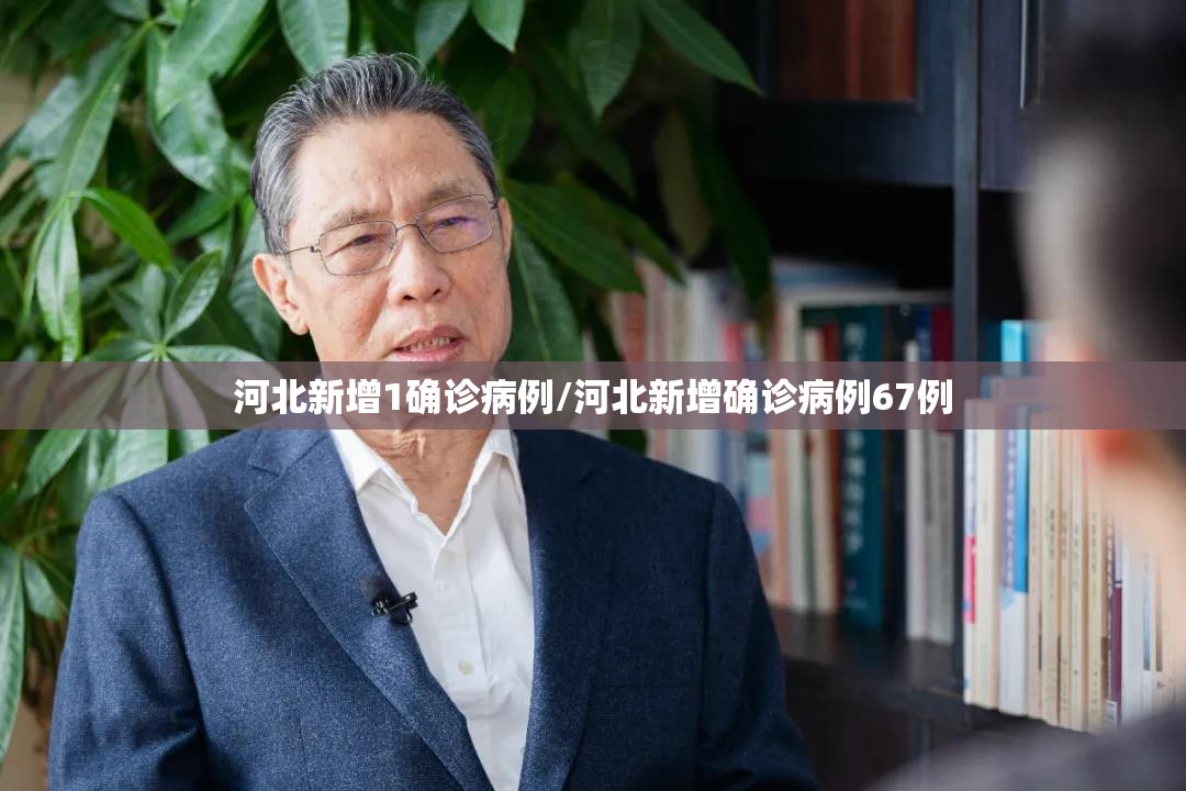 河北新增1确诊病例/河北新增确诊病例67例 河北新增1确诊病例/河北新增确诊病例67例