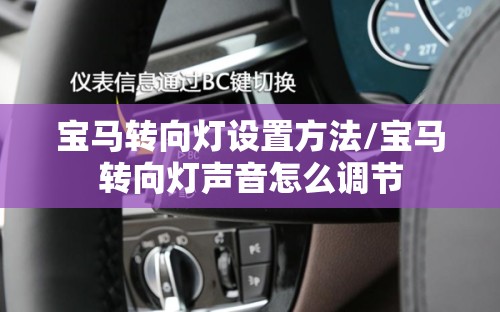 宝马转向灯设置方法/宝马转向灯声音怎么调节 宝马转向灯设置方法/宝马转向灯声音怎么调节
