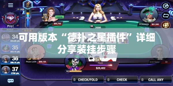 可用版本“德扑之星插件”详细分享装挂步骤