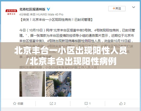北京丰台一小区出现阳性人员/北京丰台出现阳性病例