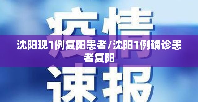 沈阳现1例复阳患者/沈阳1例确诊患者复阳 沈阳现1例复阳患者/沈阳1例确诊患者复阳