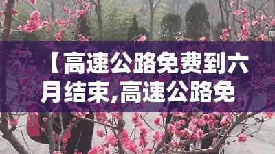 【高速公路免费到六月结束,高速公路免费到什么时候2021年】 【高速公路免费到六月结束,高速公路免费到什么时候2021年】