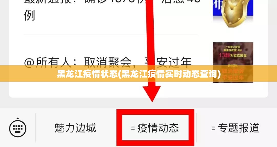 黑龙江疫情状态(黑龙江疫情实时动态查询) 黑龙江疫情状态(黑龙江疫情实时动态查询)
