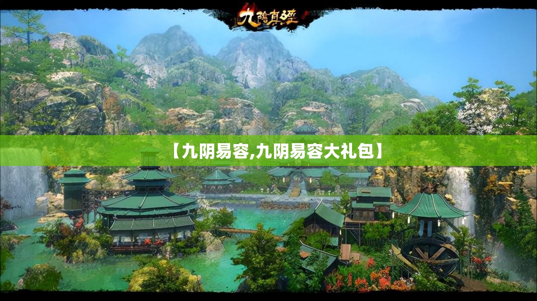 【九阴易容,九阴易容大礼包】
