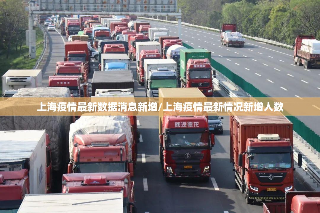 上海疫情最新数据消息新增/上海疫情最新情况新增人数 上海疫情最新数据消息新增/上海疫情最新情况新增人数