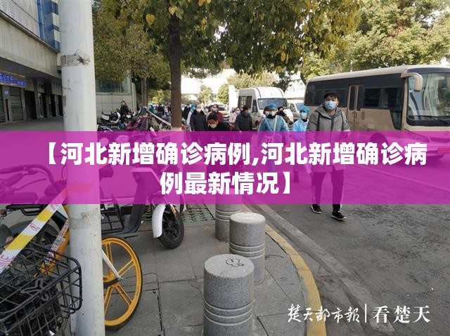 【河北新增确诊病例,河北新增确诊病例最新情况】