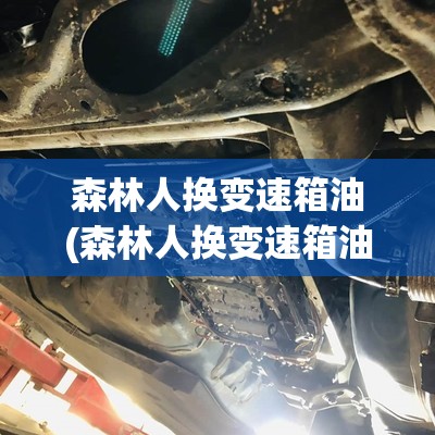 森林人换变速箱油(森林人换变速箱油需要换滤芯吗)