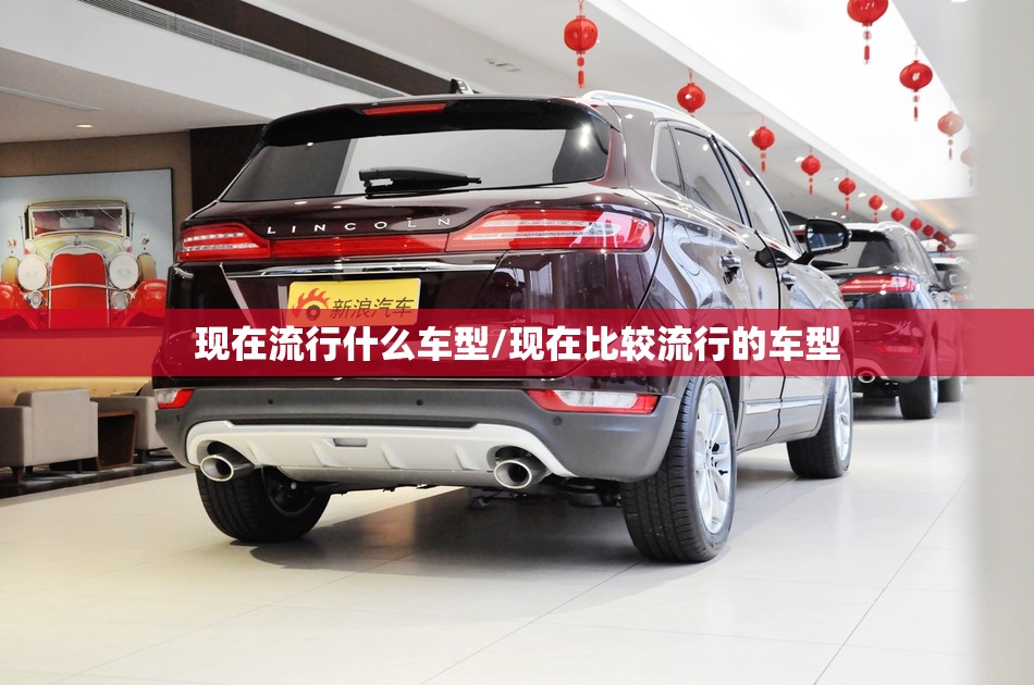 现在流行什么车型/现在比较流行的车型