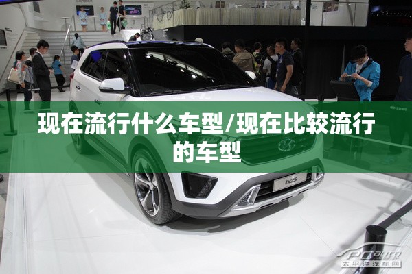 现在流行什么车型/现在比较流行的车型