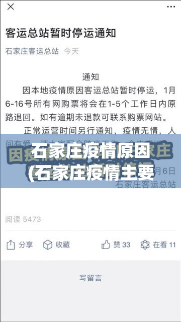 石家庄疫情原因(石家庄疫情主要原因) 石家庄疫情原因(石家庄疫情主要原因)