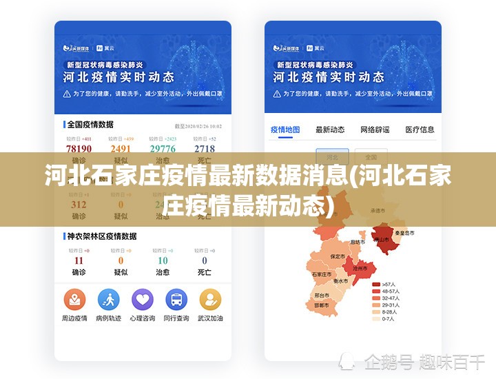 河北石家庄疫情最新数据消息(河北石家庄疫情最新动态)