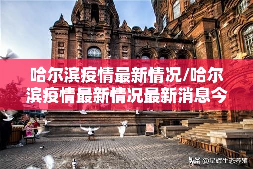 哈尔滨疫情最新情况/哈尔滨疫情最新情况最新消息今天