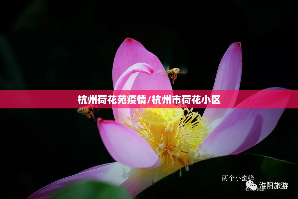 杭州荷花苑疫情/杭州市荷花小区 杭州荷花苑疫情/杭州市荷花小区
