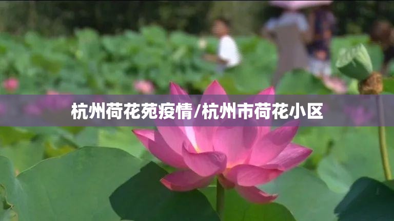 杭州荷花苑疫情/杭州市荷花小区 杭州荷花苑疫情/杭州市荷花小区