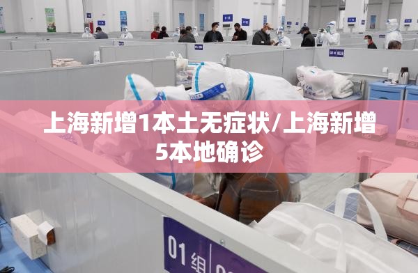 上海新增1本土无症状/上海新增5本地确诊 上海新增1本土无症状/上海新增5本地确诊