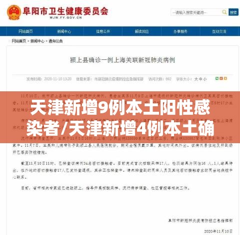 天津新增9例本土阳性感染者/天津新增4例本土确诊病例行动轨迹 天津新增9例本土阳性感染者/天津新增4例本土确诊病例行动轨迹