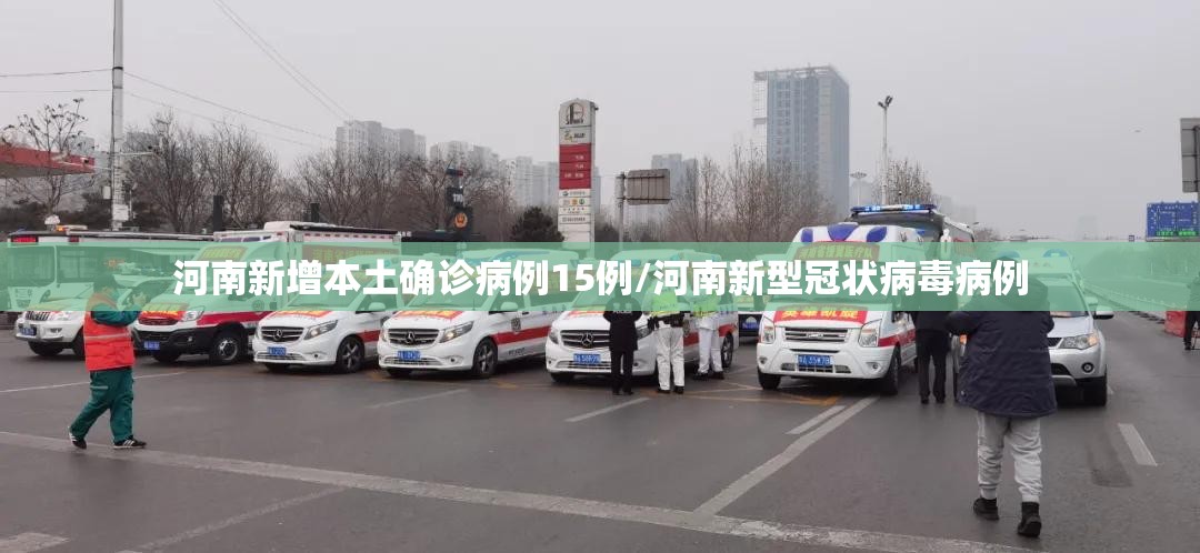 河南新增本土确诊病例15例/河南新型冠状病毒病例