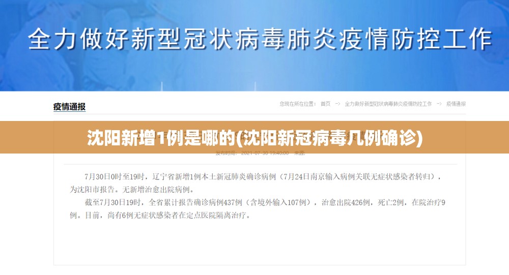沈阳新增1例是哪的(沈阳新冠病毒几例确诊) 沈阳新增1例是哪的(沈阳新冠病毒几例确诊)