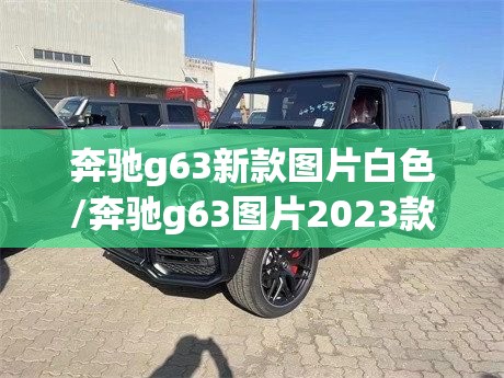 奔驰g63新款图片白色/奔驰g63图片2023款 奔驰g63新款图片白色/奔驰g63图片2023款