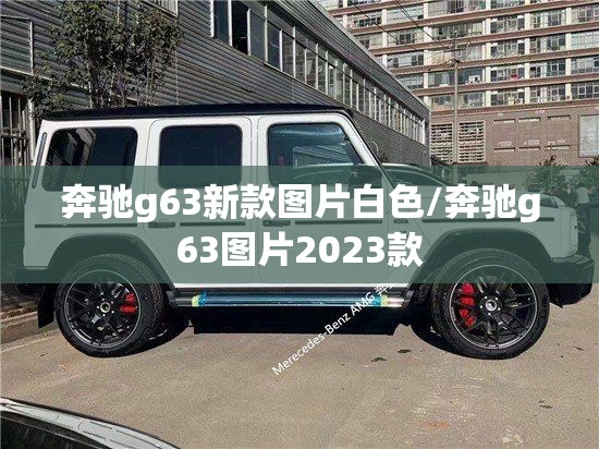 奔驰g63新款图片白色/奔驰g63图片2023款 奔驰g63新款图片白色/奔驰g63图片2023款