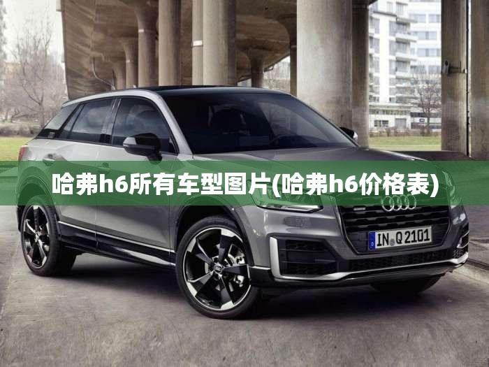 哈弗h6所有车型图片(哈弗h6价格表) 哈弗h6所有车型图片(哈弗h6价格表)