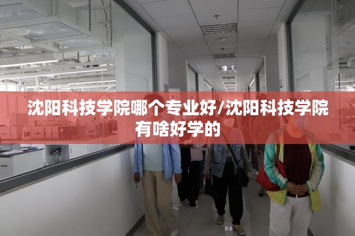 沈阳科技学院哪个专业好/沈阳科技学院有啥好学的