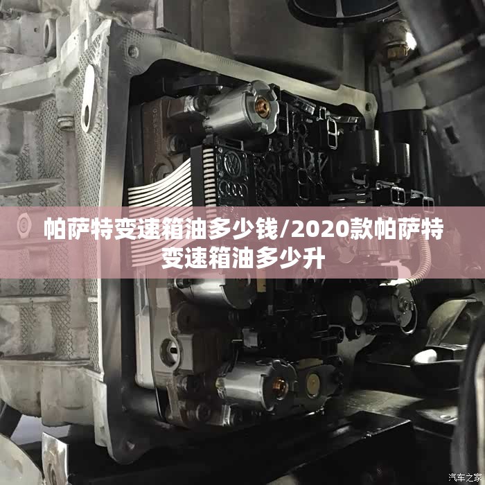 帕萨特变速箱油多少钱/2020款帕萨特变速箱油多少升 帕萨特变速箱油多少钱/2020款帕萨特变速箱油多少升