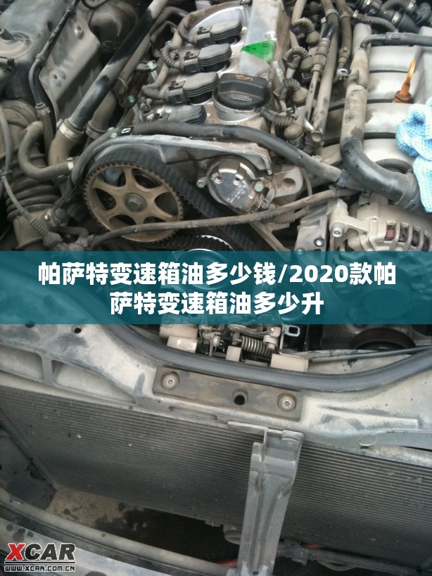帕萨特变速箱油多少钱/2020款帕萨特变速箱油多少升 帕萨特变速箱油多少钱/2020款帕萨特变速箱油多少升