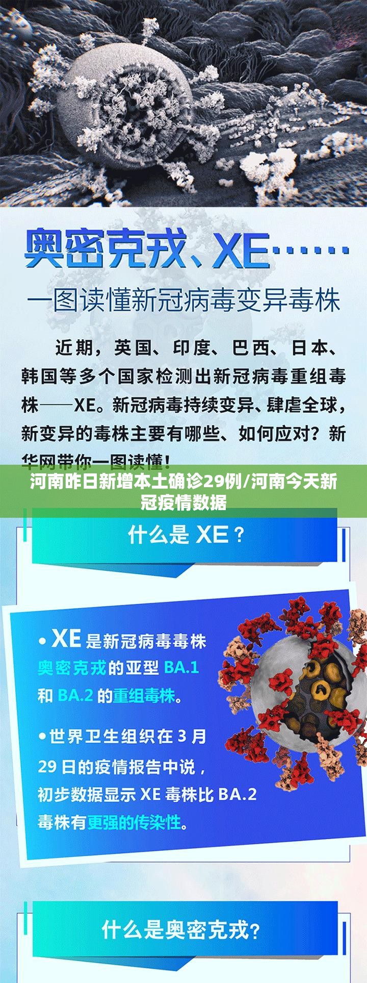 河南昨日新增本土确诊29例/河南今天新冠疫情数据