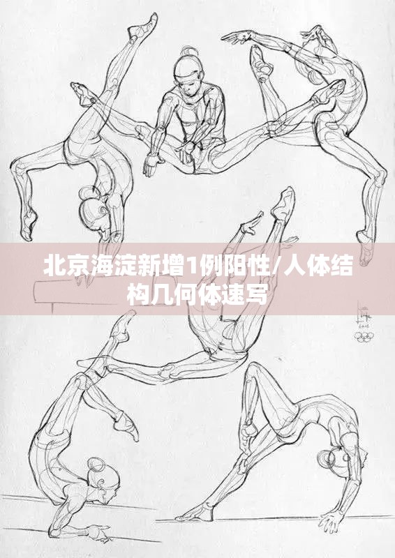 北京海淀新增1例阳性/人体结构几何体速写