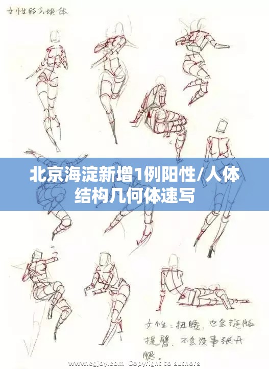 北京海淀新增1例阳性/人体结构几何体速写