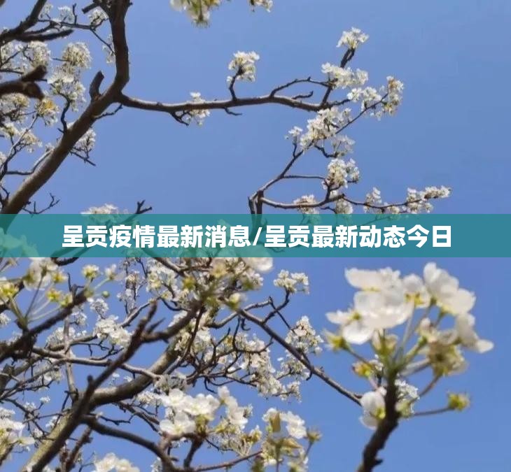 呈贡疫情最新消息/呈贡最新动态今日 呈贡疫情最新消息/呈贡最新动态今日