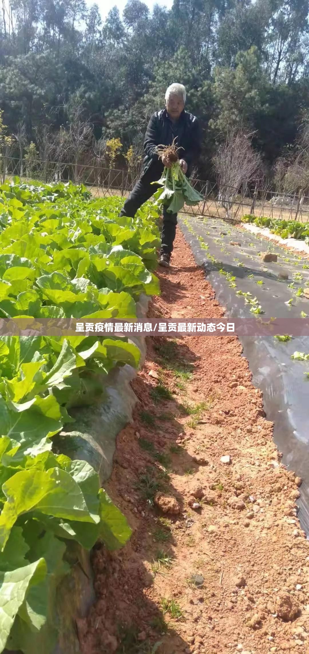 呈贡疫情最新消息/呈贡最新动态今日 呈贡疫情最新消息/呈贡最新动态今日