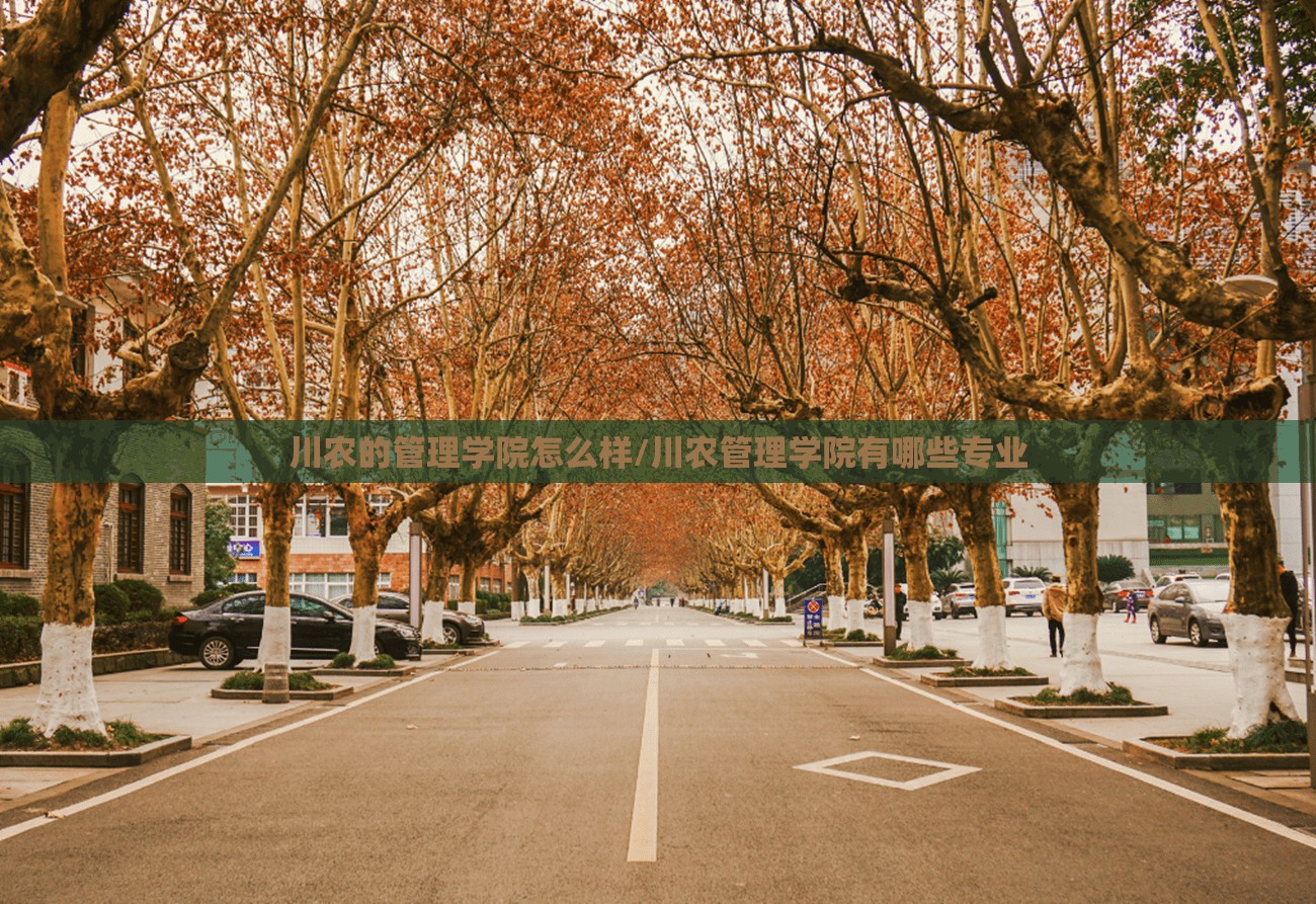 川农的管理学院怎么样/川农管理学院有哪些专业