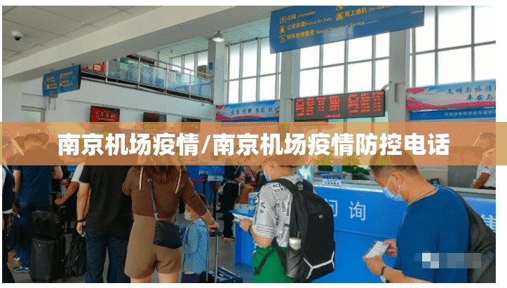南京机场疫情/南京机场疫情防控电话 南京机场疫情/南京机场疫情防控电话