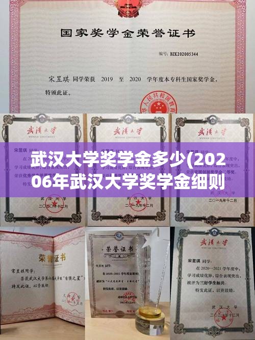武汉大学奖学金多少(20206年武汉大学奖学金细则)