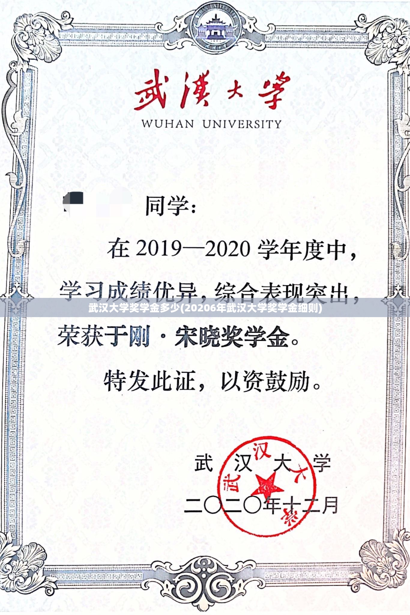 武汉大学奖学金多少(20206年武汉大学奖学金细则)