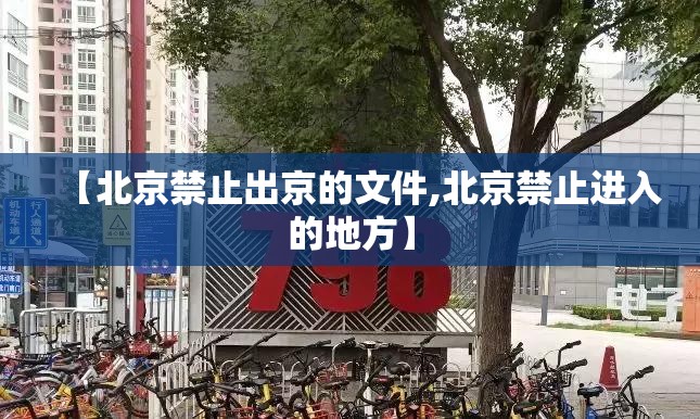 【北京禁止出京的文件,北京禁止进入的地方】 【北京禁止出京的文件,北京禁止进入的地方】