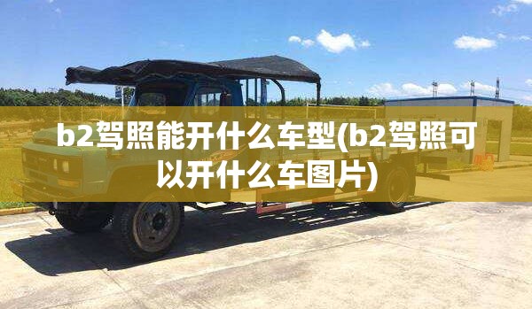 b2驾照能开什么车型(b2驾照可以开什么车图片) b2驾照能开什么车型(b2驾照可以开什么车图片)