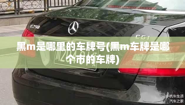 黑m是哪里的车牌号(黑m车牌是哪个市的车牌)