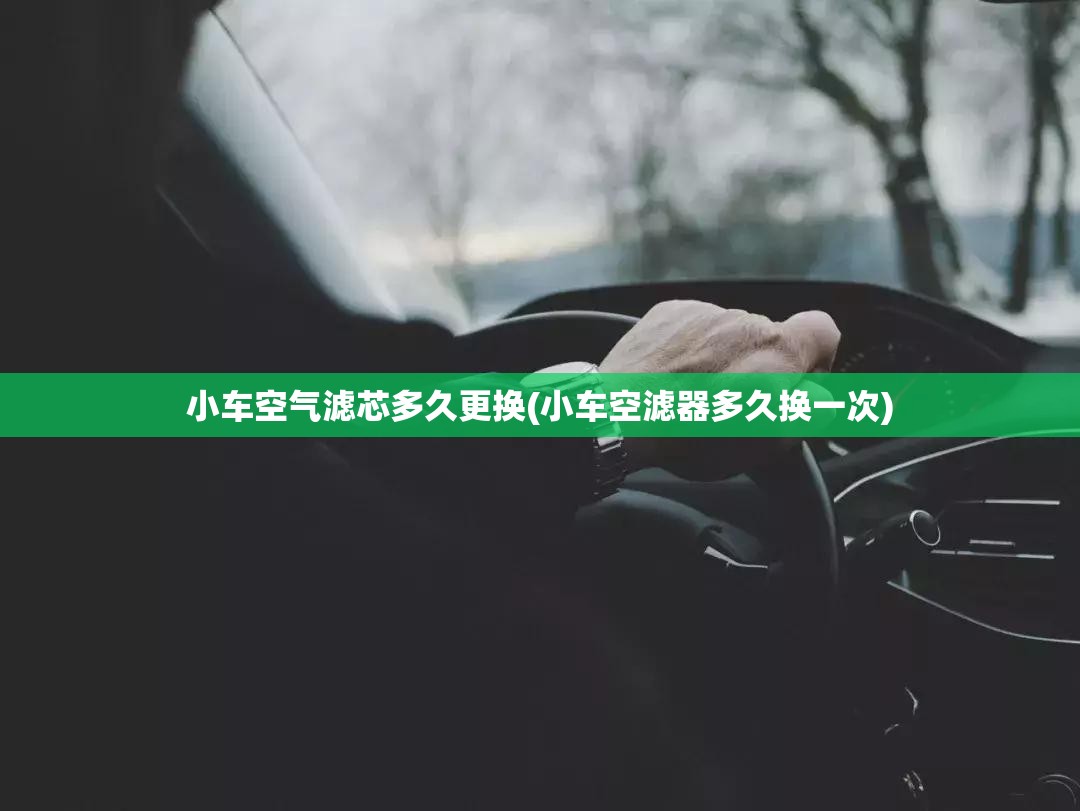 小车空气滤芯多久更换(小车空滤器多久换一次)