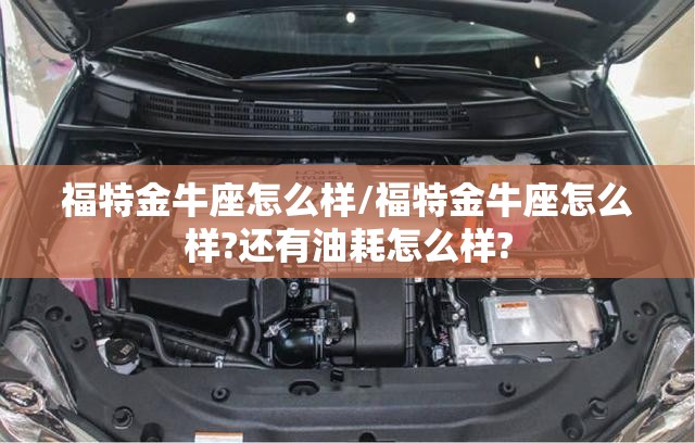福特金牛座怎么样/福特金牛座怎么样?还有油耗怎么样?