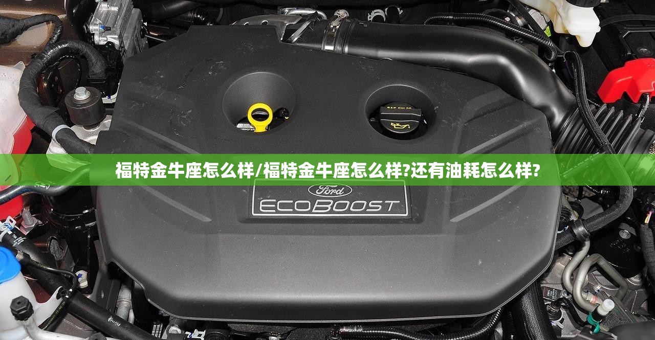 福特金牛座怎么样/福特金牛座怎么样?还有油耗怎么样?